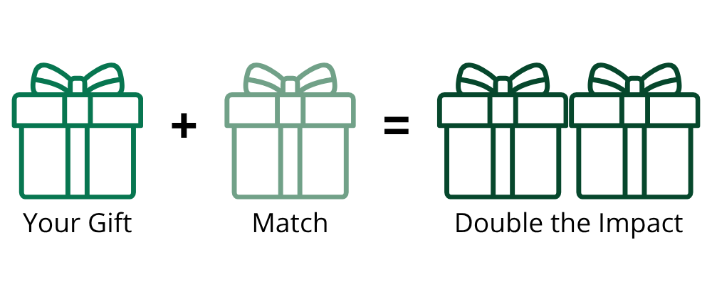 Tribute Tree Match